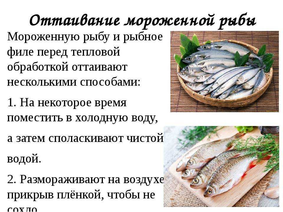 К чему снится замороженная рыба: девушке, беременной женщине и мужчине, покупать и готовить ее