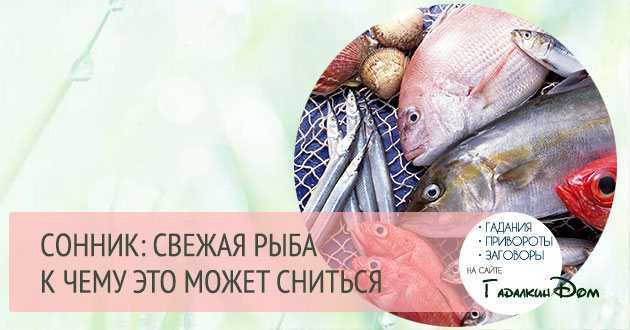 К чему снится много рыбы: щедрые дары от матушки судьбы.- сонник: много рыбы