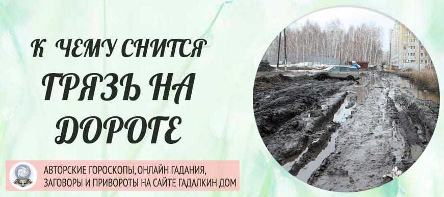 К чему снится погоня: что говорят сонники миллера, нострадамуса, фрейда и других. толкование снов о погоне в разных её вариантах