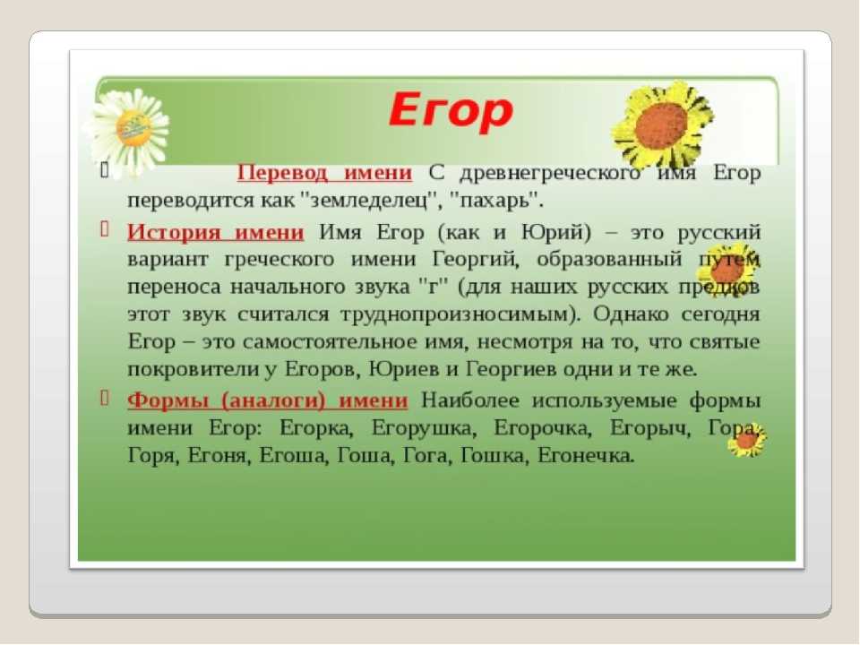 Мини проект что значит