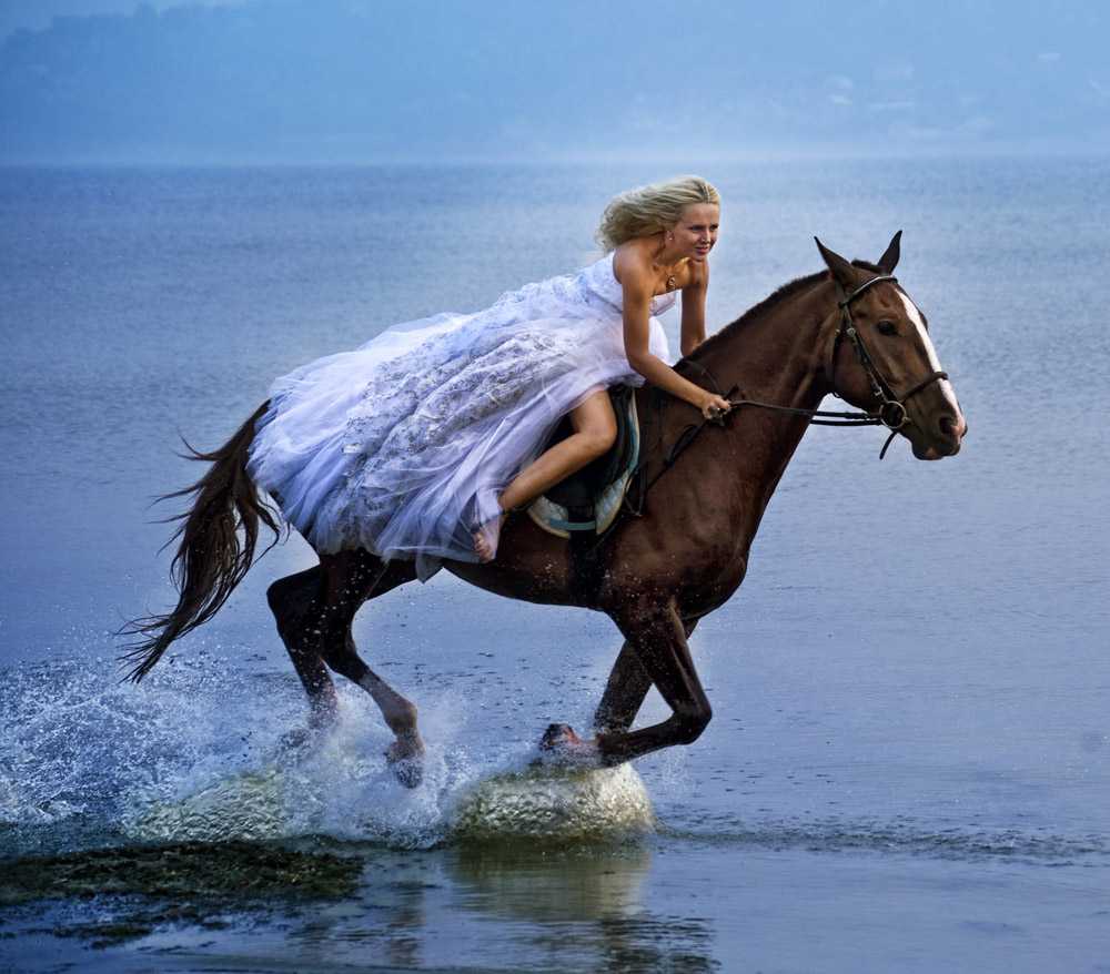 Проскачу на коне. Фотосессия с лошадьми. Девушка верхом на лошади. Фотосессия с лошадью в платье. Девушка с лошадью.