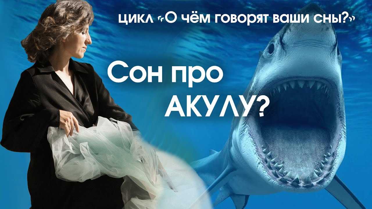 К чему снятся акулы в воде женщине