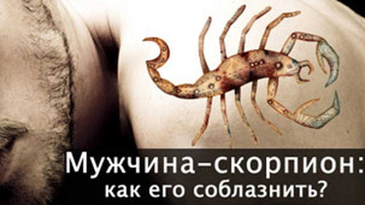 Дева и скорпион: совместимость мужчины и женщины в любви
