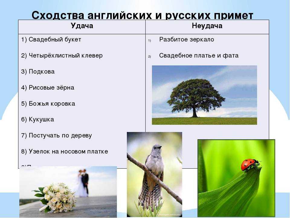 Народные приметы и суеверия на все случаи жизни, старинные