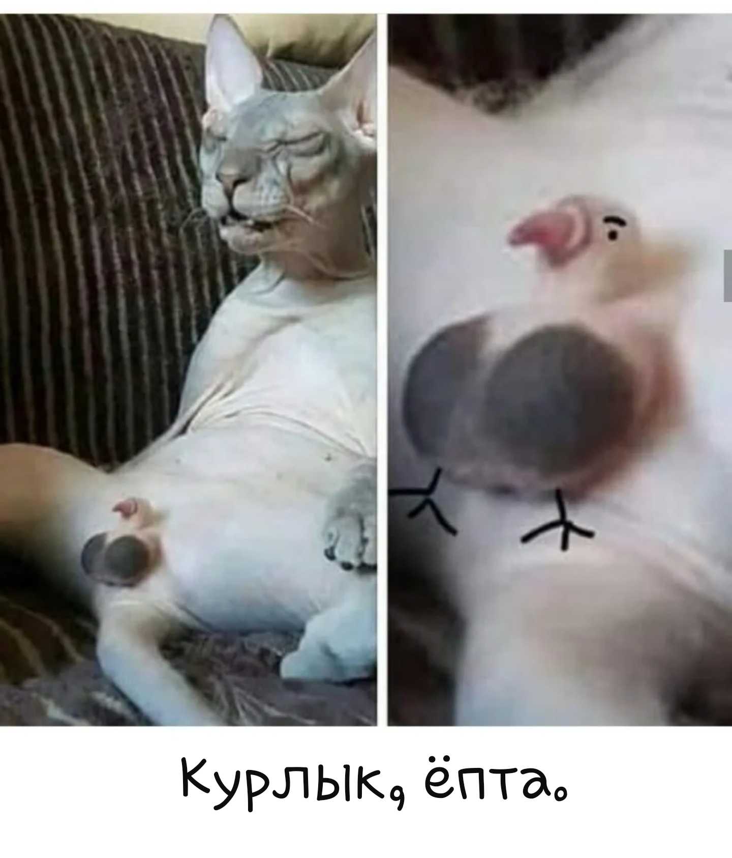 ᐉ к чему снится большая куча кала сонник - x-sonnik.ru