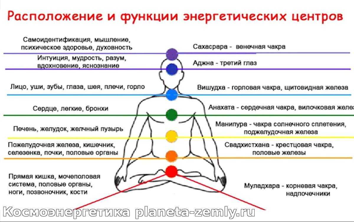 Чакры человека: что такое чакры и каково значение каждой из 7 чакр » университет mindvalley