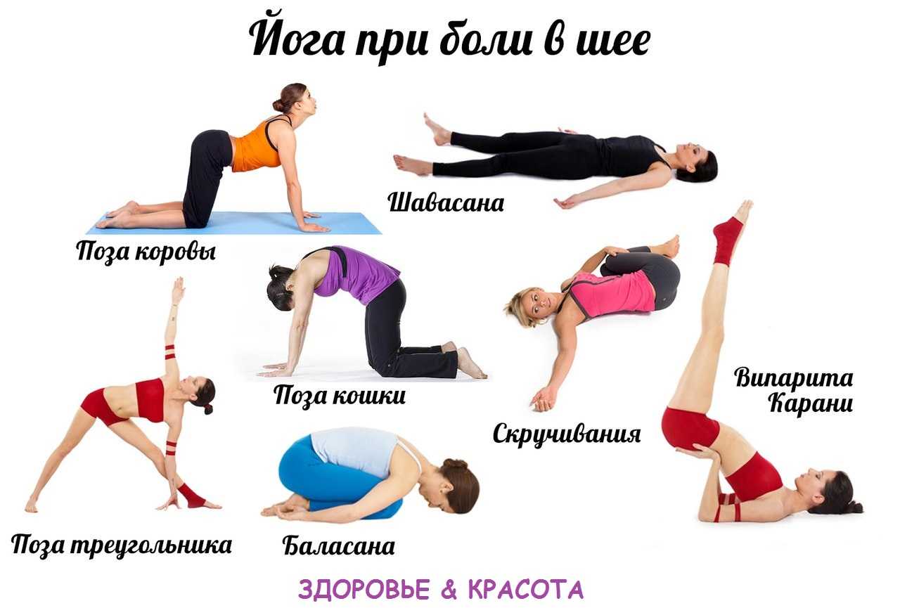 Виды йоги, их отличия и особенности: что выбрать начинающему | yogamaniya