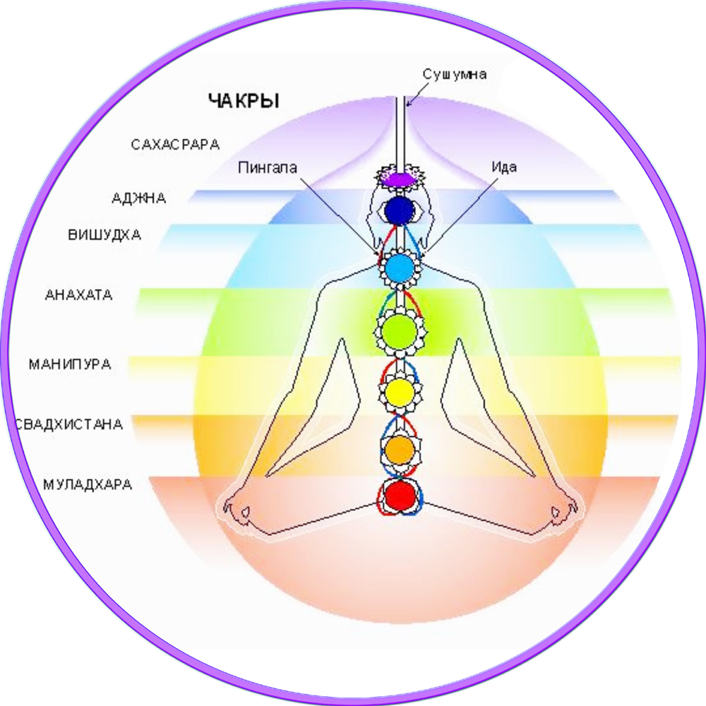 Их значение и место в. Энергетическая система человека и чакры. Первая чакра. Чакры в дизайне человека. Чакры человека фото и описание.