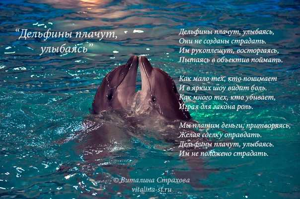 К чему снятся умершие люди, как живые: толкование сна, его значение и выбор сонника