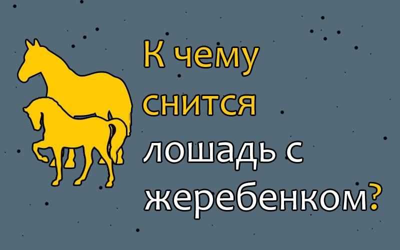 К чему снится лошадь женщине: значение и толкование сна - tolksnov.ru