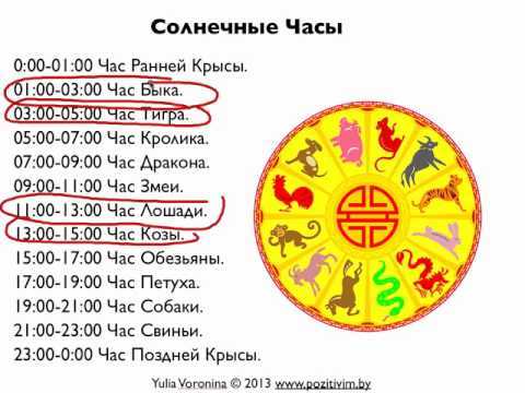 Час обезьяны по фэн шуй и других животных: о чём он расскажет