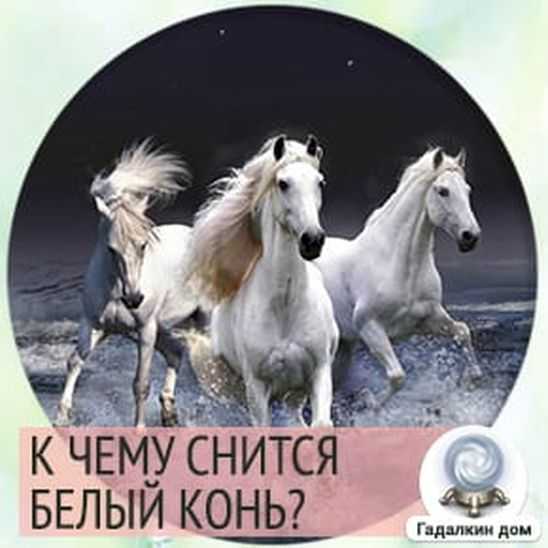 Что означает, если приснилась белая лошадь 🐴 — толкования сна ❗ по 42 сонникам: к чему снится мужчине или женщине видеть в доме большого красивого белоснежного коня