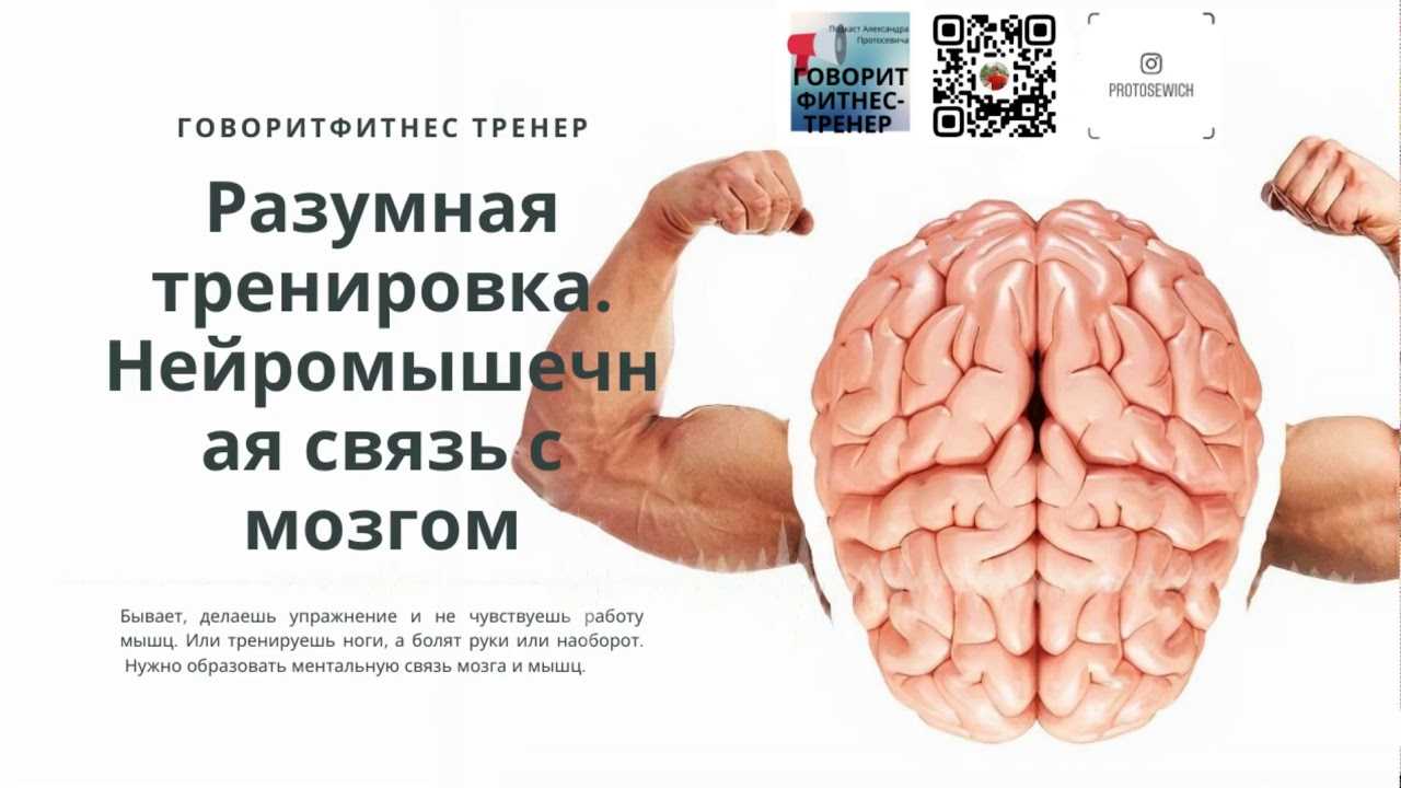 Ментальная тренировка. Связь мозг мышцы. Тренировка мозга. Развиваем мозг. Связь между мозгом и мышцами.