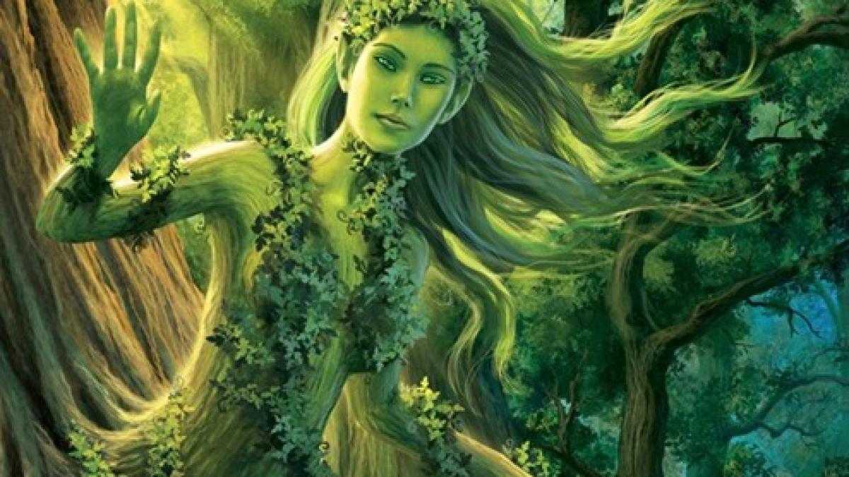 Древнегреческие мифы про дриад Дриада - повелительница деревьев, леса, природы Как она ведёт себя по отношению к человеку