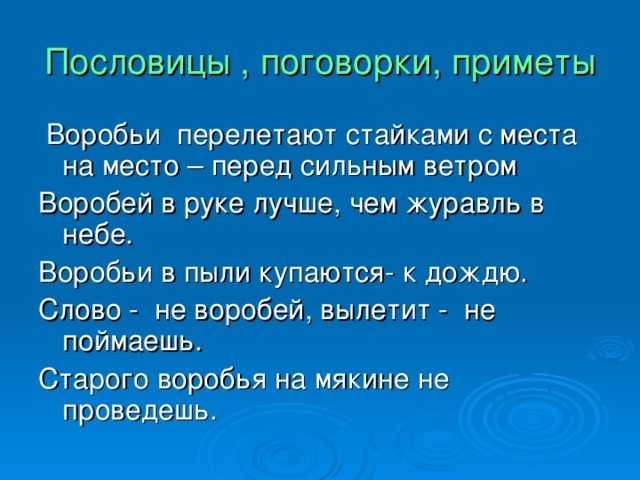 Народные приметы к дождю: дождливые приметы