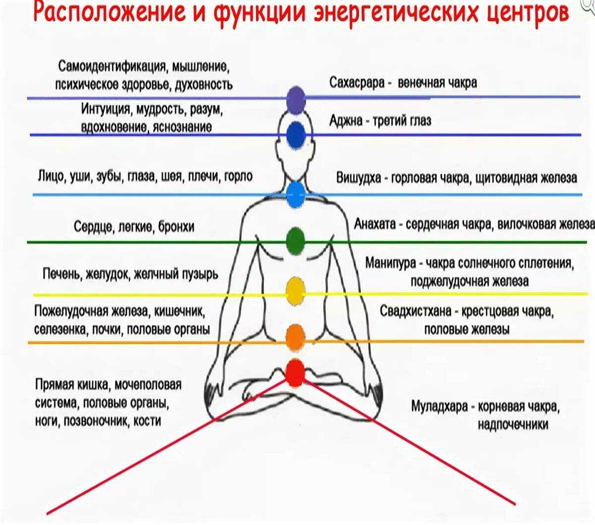 Отношения по чакрам: муж и жена (о семье на тонком плане)