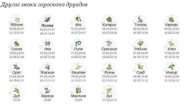 Гороскоп по цветам: по знаку зодиака и друидский
