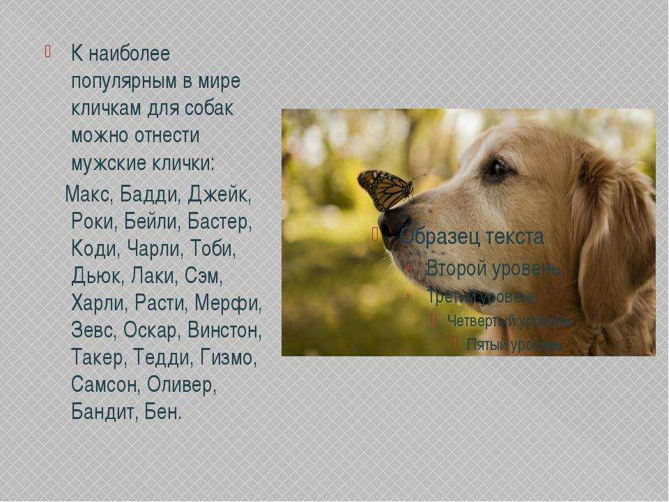 Списки иностранных имен - женские и мужские национальные имена разных народов мира