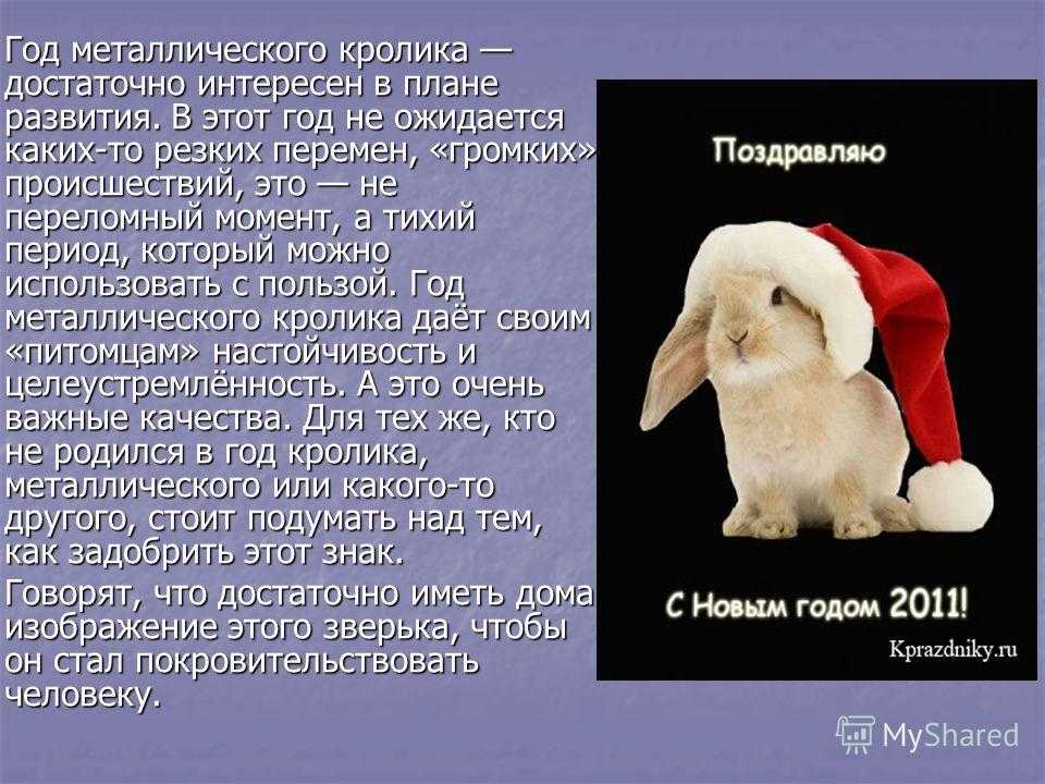 Знаки зодиака кролик года. Год кролика. Год кролика года. Год кролика 2011 год. Год кролика характеристика.