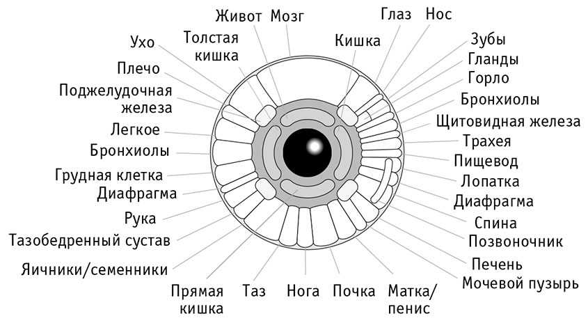 Диагностика по глазам человека фото и описание