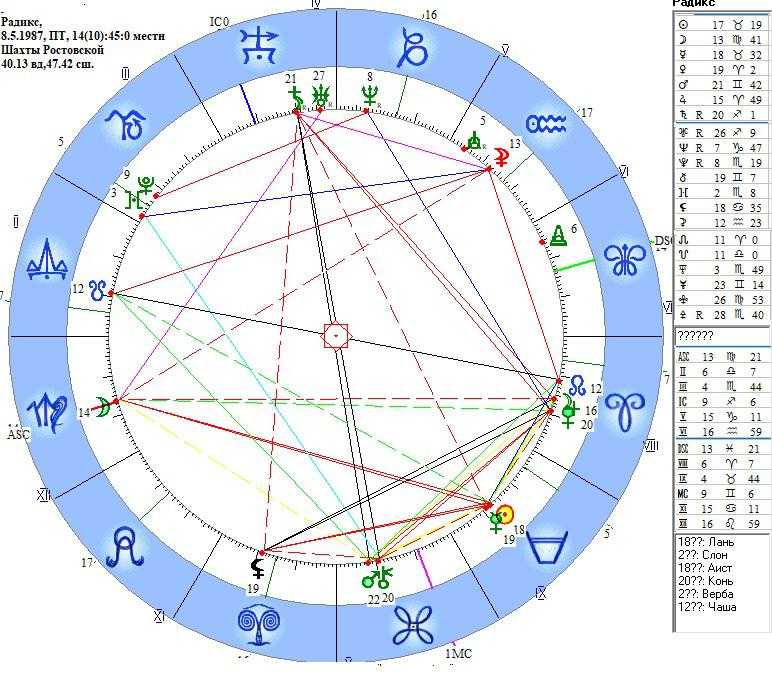 Натальная карта где какой дом