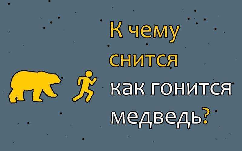 К чему снится белый медведь мужчине и женщине, замужней