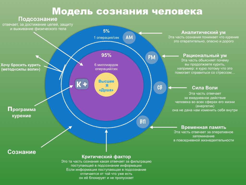 Сознание и деятельность находятся в неразрывном единстве сознание образует внутренний план действий