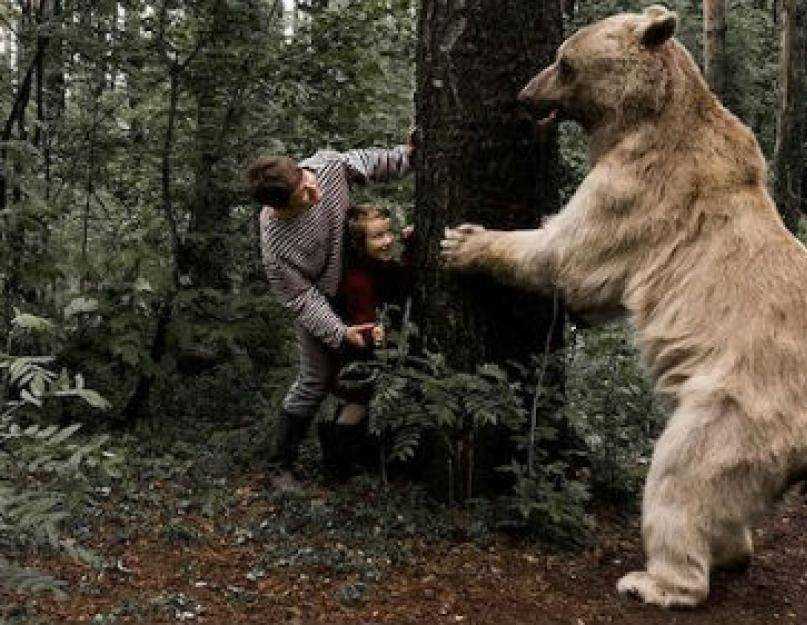 К чему снится большой медведь