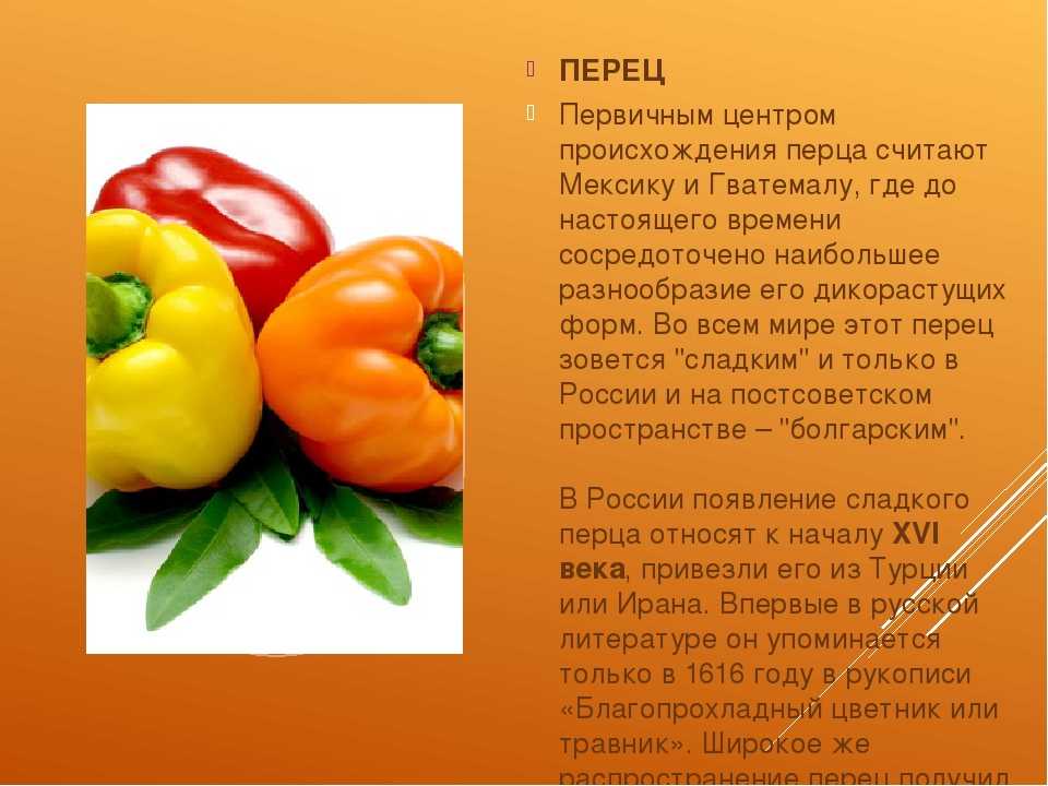 Болгарский перец здоровье описание и фото