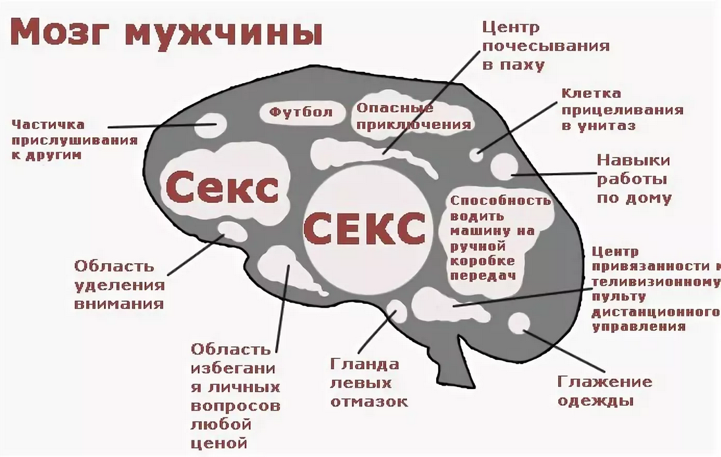 Что отсутствует у автомобиля карта