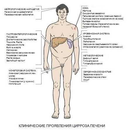 Планета прозерпина в астрологии управляет сверхсистемами, мельчайшими деталями