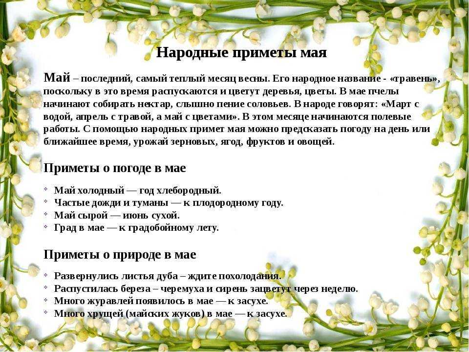 Предсказания ванги по годам — что ожидает людей?