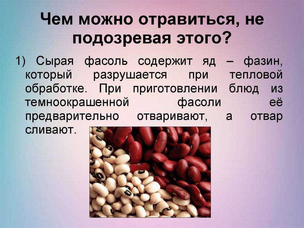 К чему снится фасоль: девушке, женщине, беременной, мужчине – толкование по разным сонникам