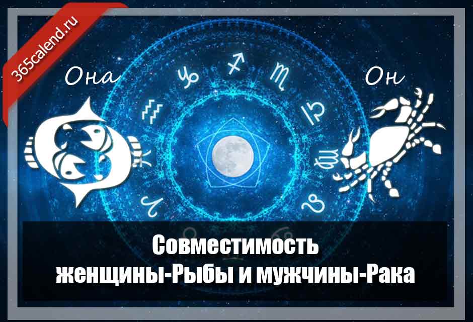 Скорпионы подходят рыбам. Мужчина рыба женщина рыба совместимость в любви. Гороскоп. Рыбы мужчина совместимость. Гороскоп любовный на февраль рыбы мужчина.