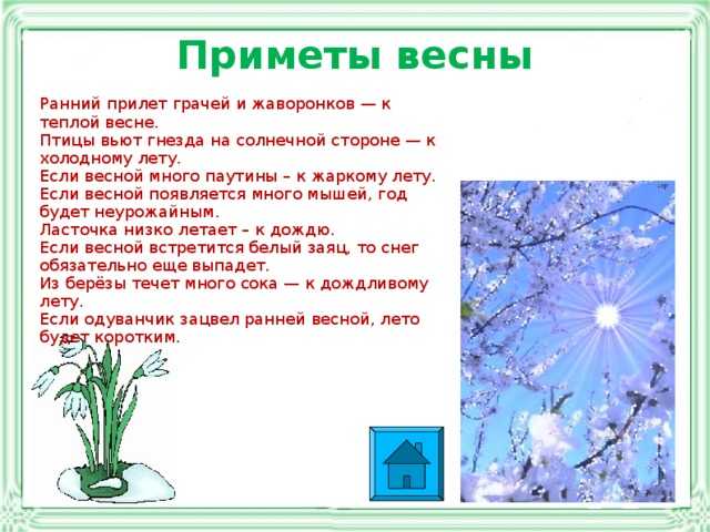 План на весну и лето