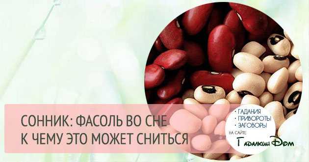 К чему снится фасоль. Сонник фасоль. Фасоль прикол. Видеть во сне фасоль к чему. К чему сон с фасолью.