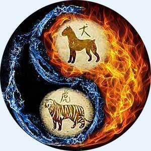 Тигр и собака гороскоп. совместимость тигра и собаки