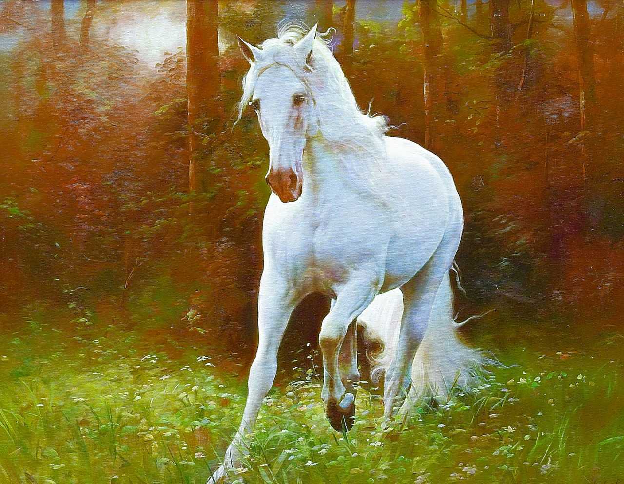 Сонник - белая лошадь к чему снится белая лошадь во сне приснилась