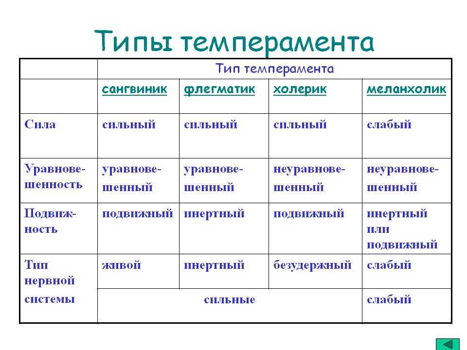 Типа темперамента человека и описание