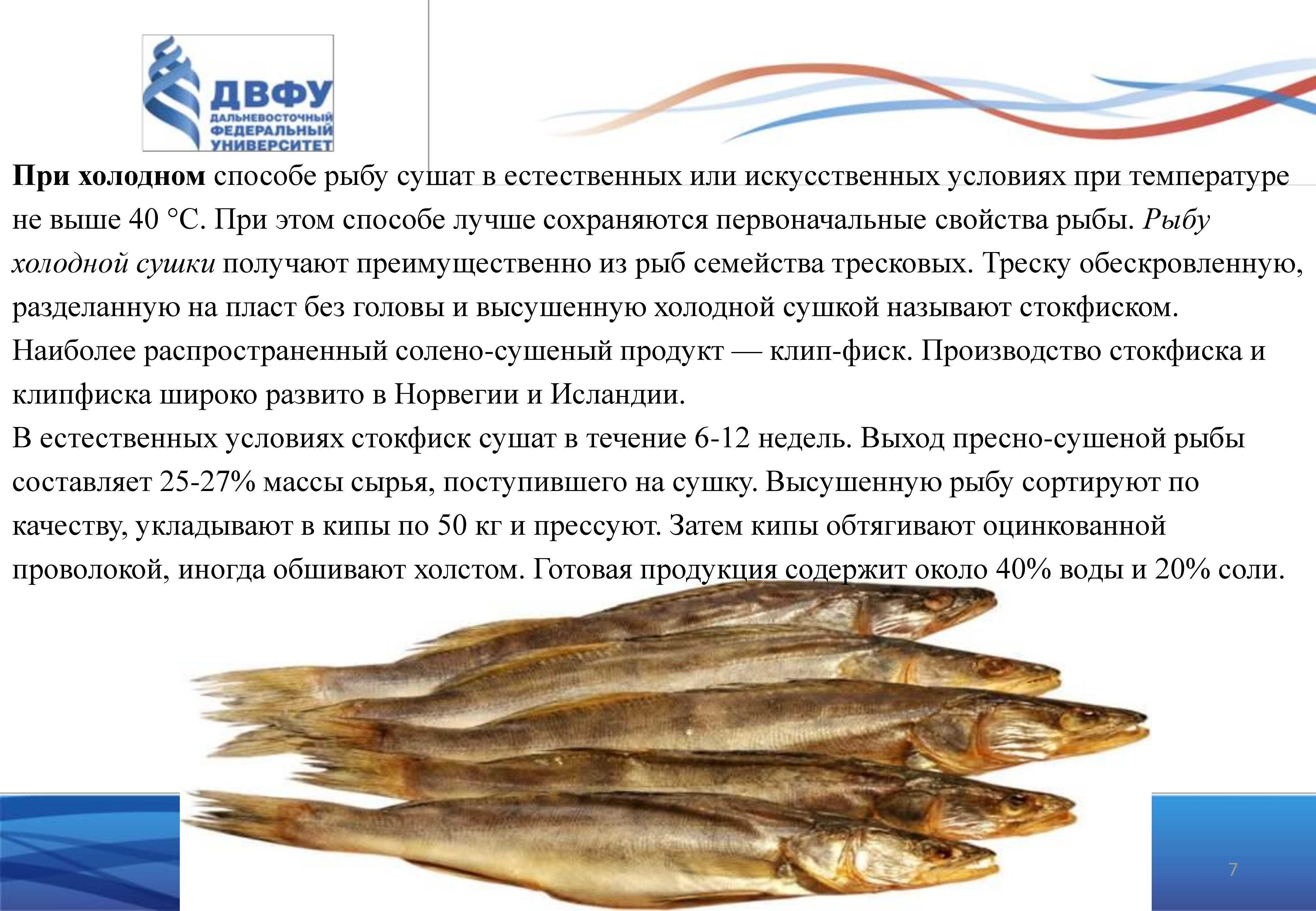 К чему снится рыба тухлая: значение сна, самое полное толкование сновидений по соннику - tolksnov.ru