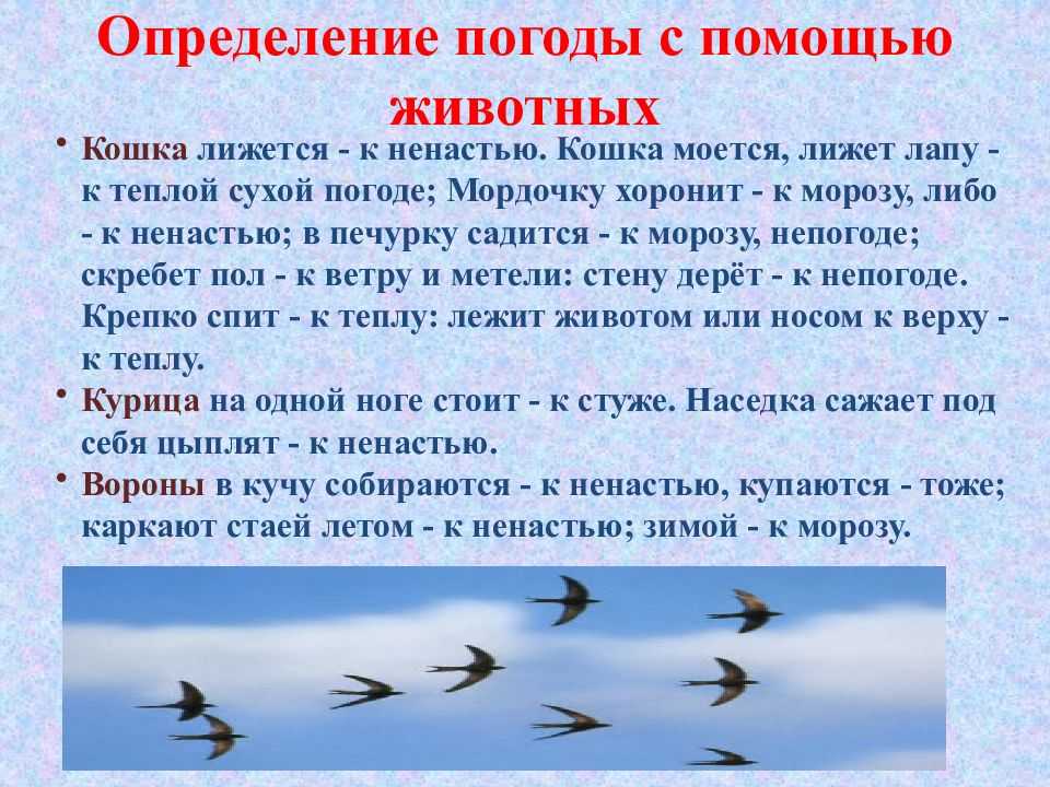 Народные приметы о погоде на каждый день года, смотреть онлайн!