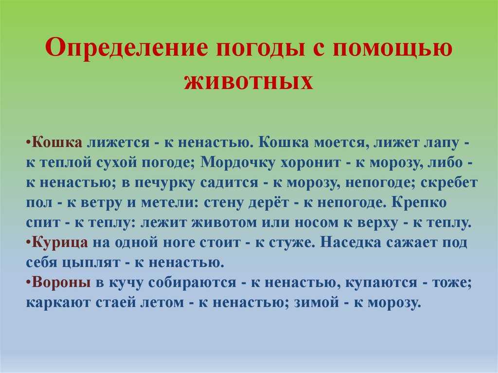 Проект прогноз погоды и народные приметы