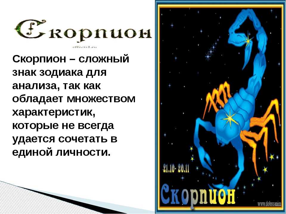 Картинки про знак скорпион