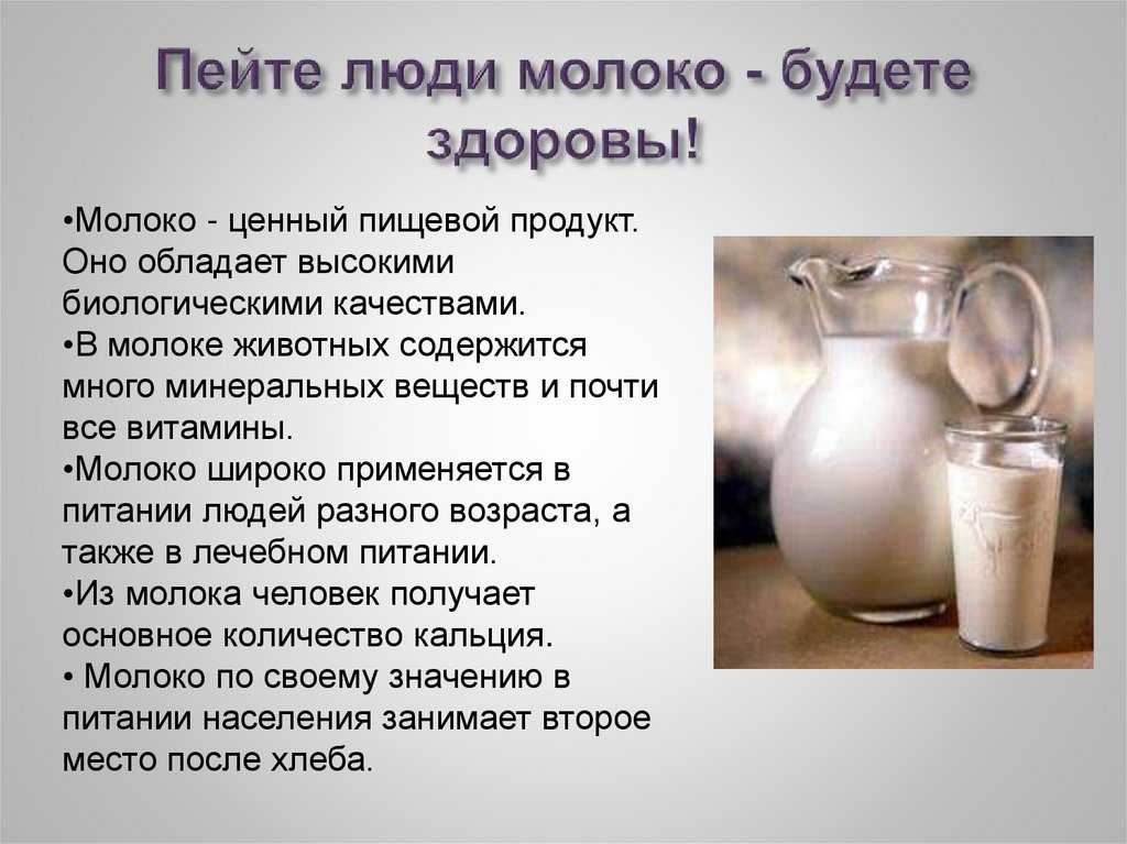 Почему человек пьет молоко