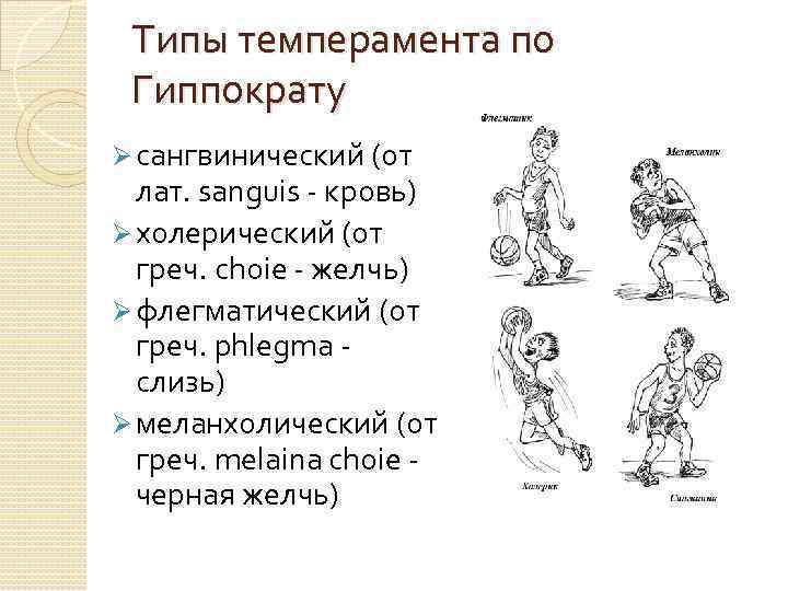 Кто такой холерик: характеристика и совместимость с другими типами темперамента