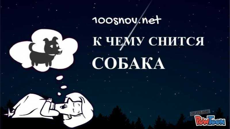 Кусать во сне. Приснилась собака к чему. Сонник собака к чему снится. Что снится собакам.