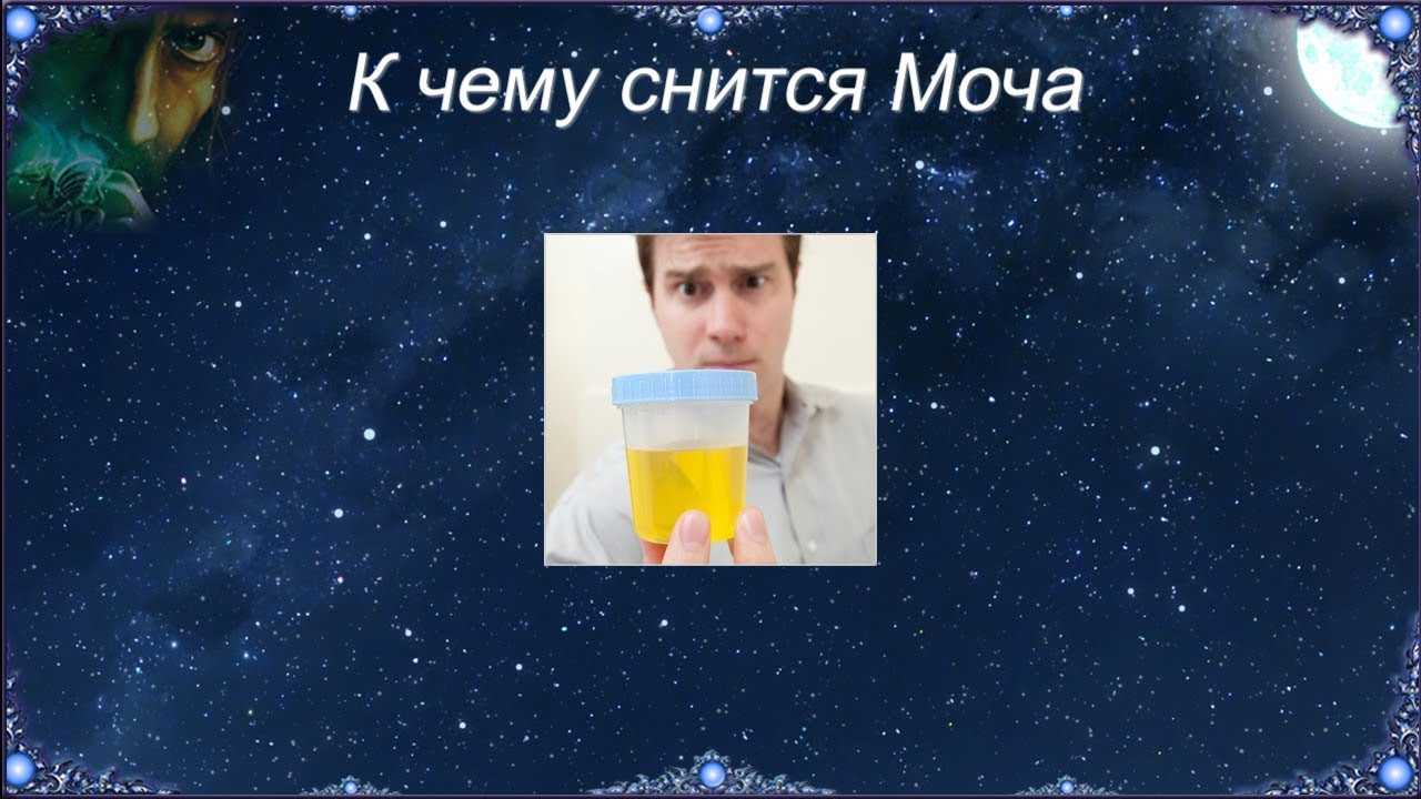 Если в сновидении вы увидели человеческие экскременты, а точнее, мочу, стоит ожидать большого счастья в реальной жизни Оно может быть не только духовное,