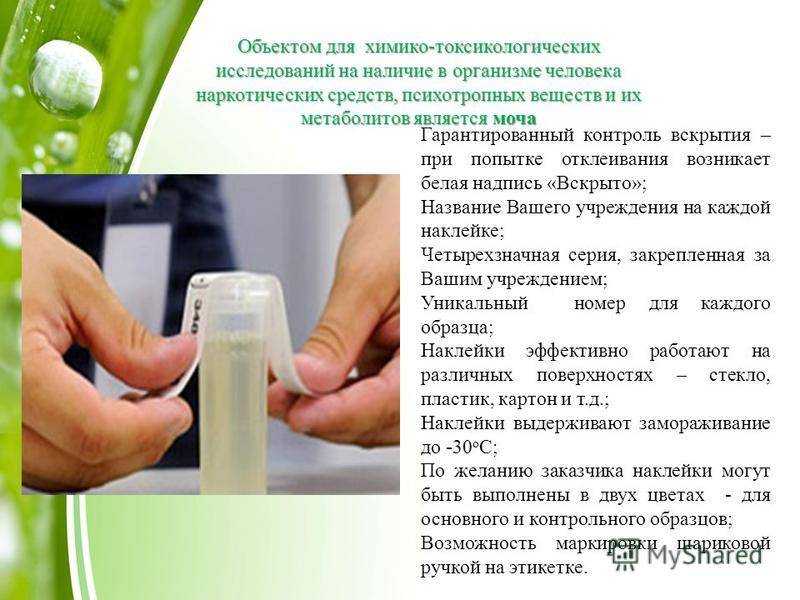 К чему снится моча и что олицетворяет этот символ?