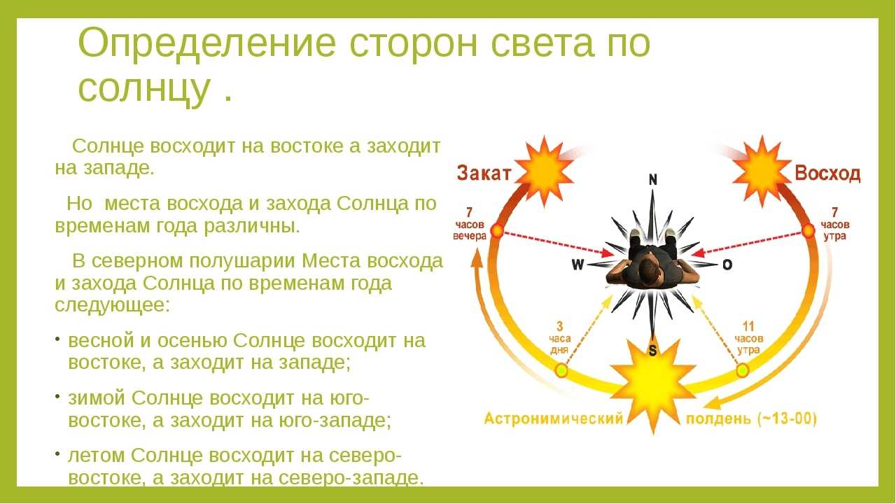 На рисунке изображены восходы и заходы солнца в северном полушарии укажите в чем ошибка художника