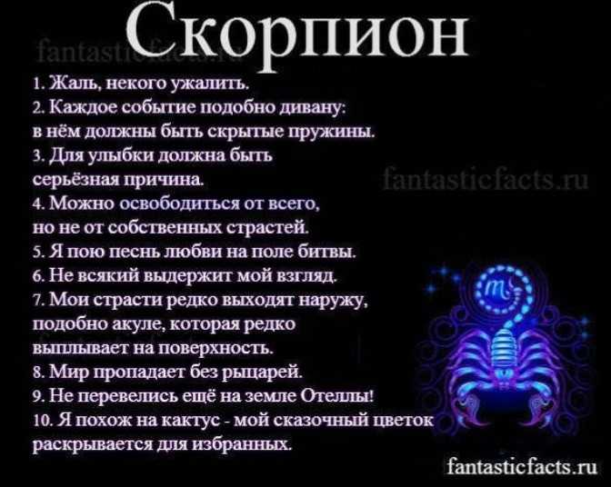 Характеристика знака скорпион — в каких сферах лучше развиваться